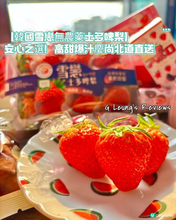 🔥【韓國雪戀無農藥士多啤梨】安心之選!高甜爆汁慶尚北道直送🍓