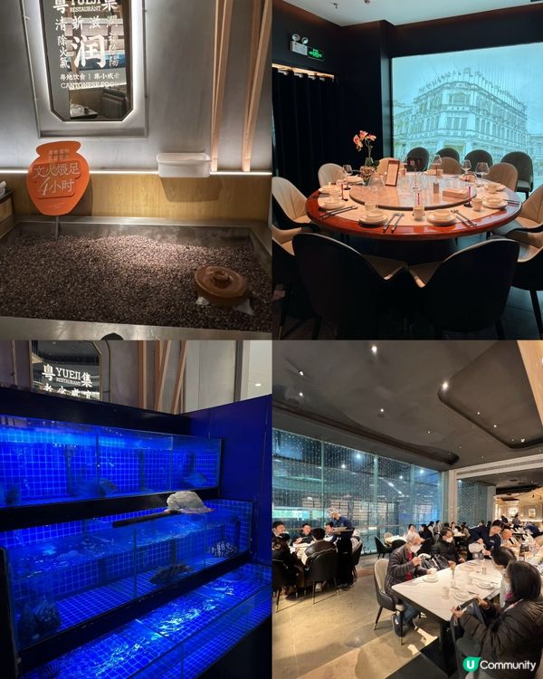 深圳羅湖嘆正宗手工粵菜😋  粵集手工粵菜，正！