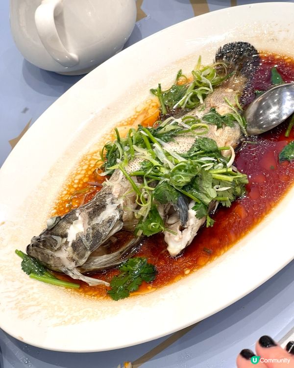 假日家庭聚餐好去處