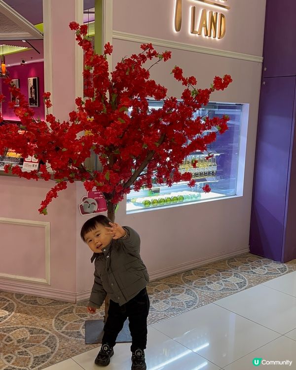 【荃灣HomeLand】西餐驚喜體驗！