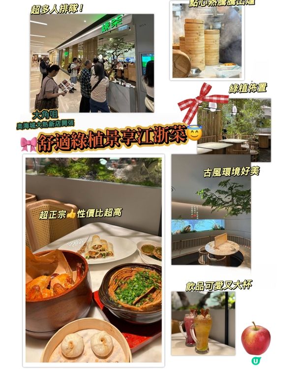 🎀大角咀。奧海城大熱新店開張 舒適綠植景享江浙菜😇🎀pin