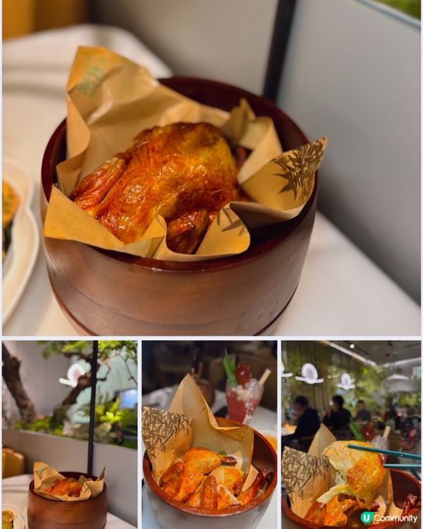 🎀大角咀。奧海城大熱新店開張 舒適綠植景享江浙菜😇🎀pin