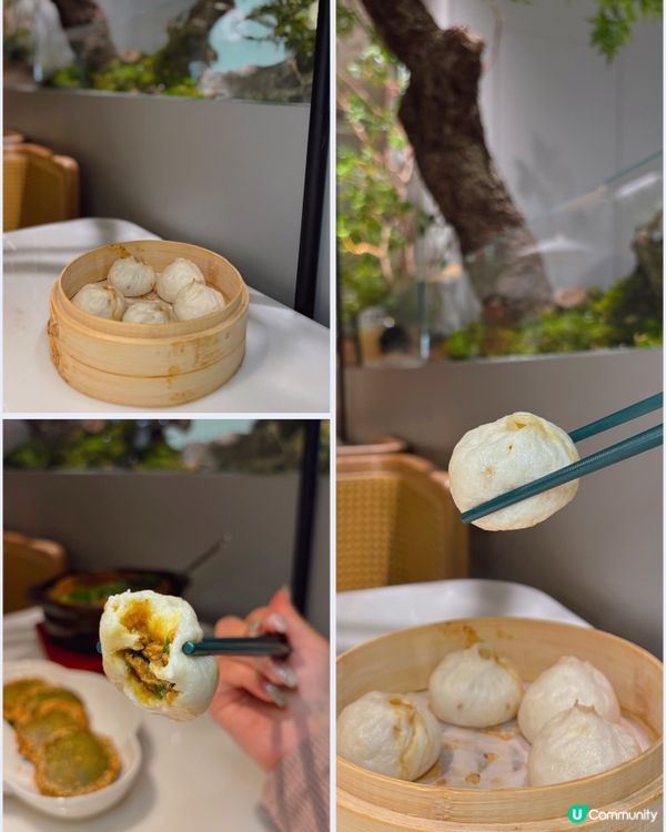 🎀大角咀。奧海城大熱新店開張 舒適綠植景享江浙菜😇🎀pin