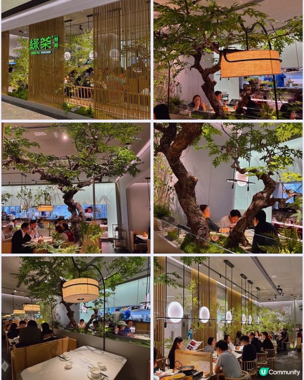 🎀大角咀。奧海城大熱新店開張 舒適綠植景享江浙菜😇🎀pin