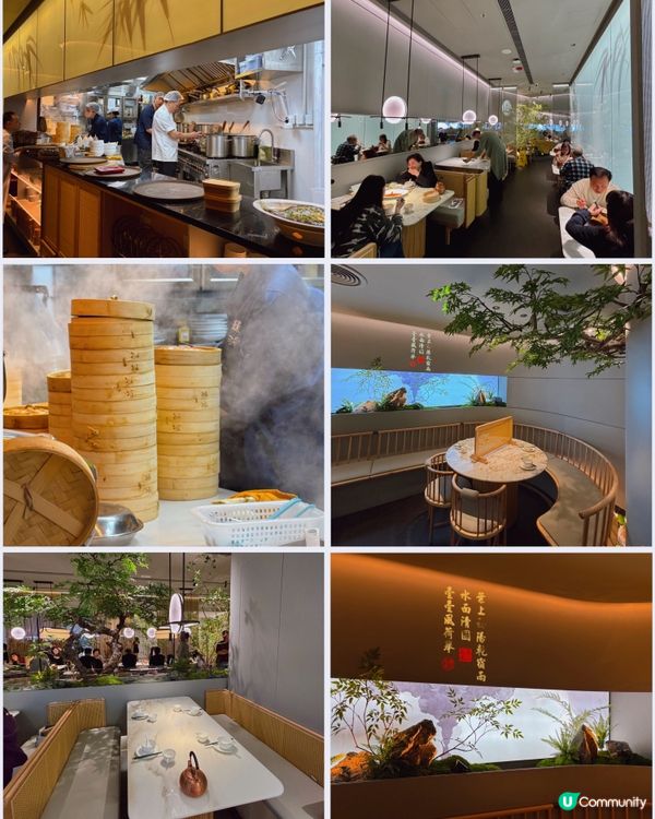 🎀大角咀。奧海城大熱新店開張 舒適綠植景享江浙菜😇🎀pin