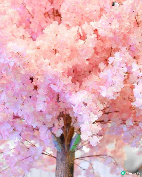 馬鞍山寵物友善商場-WegoMall