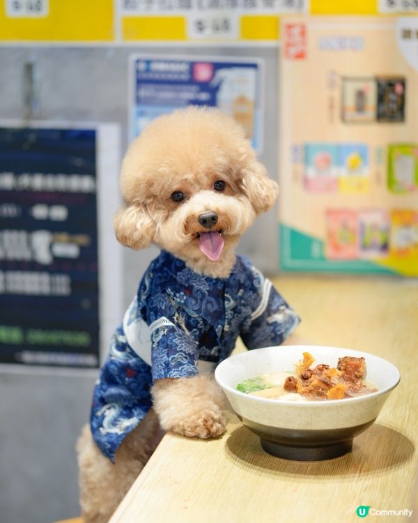 馬鞍山寵物友善餐廳🍜