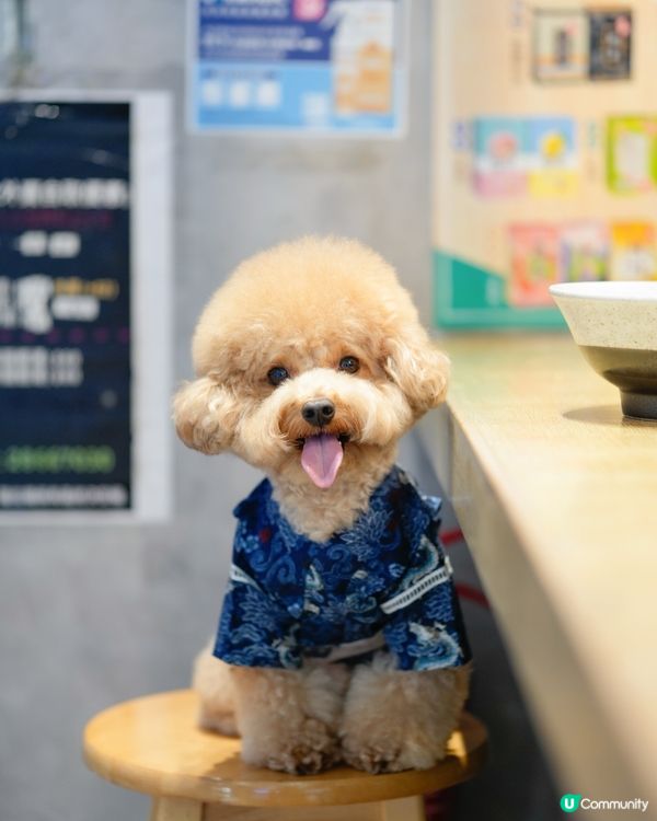馬鞍山寵物友善餐廳🍜