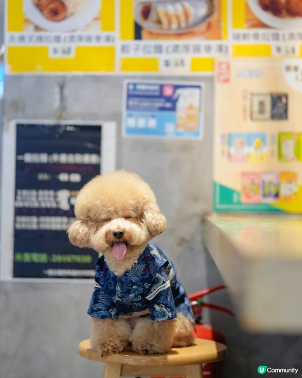 馬鞍山寵物友善餐廳🍜