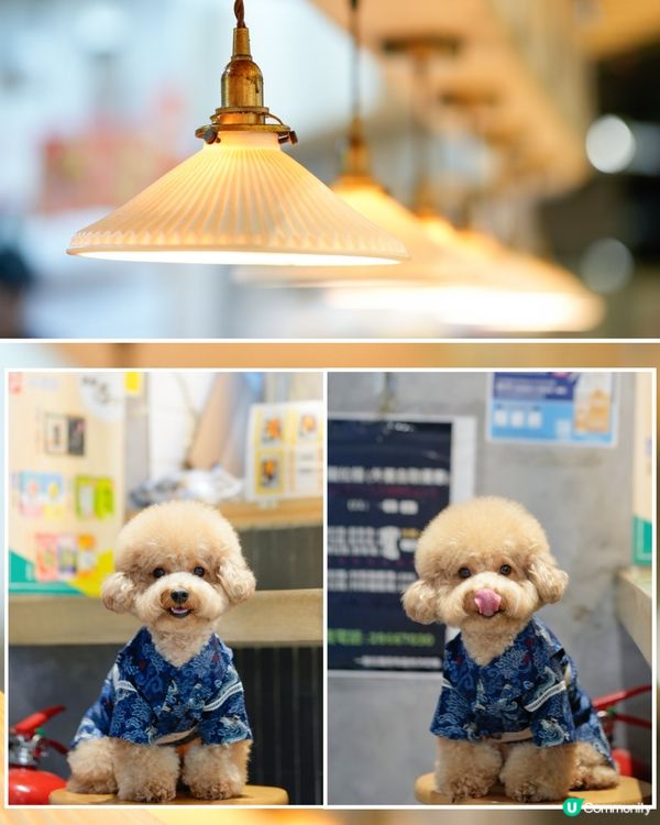 馬鞍山寵物友善餐廳🍜