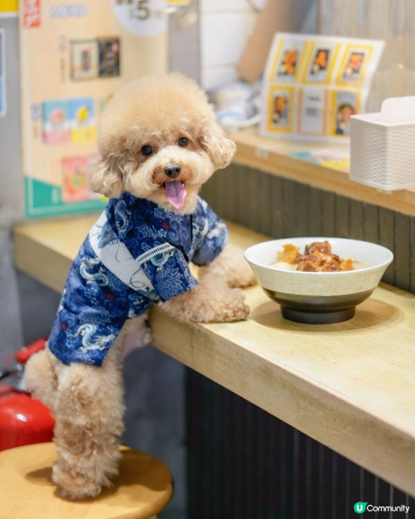 馬鞍山寵物友善餐廳🍜