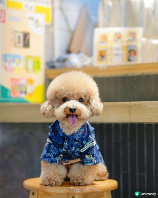馬鞍山寵物友善餐廳🍜