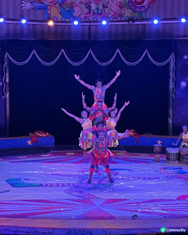 深圳野生動物園🎪 馬戲表演超精彩！🤩