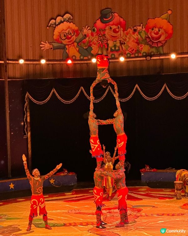 深圳野生動物園🎪 馬戲表演超精彩！🤩
