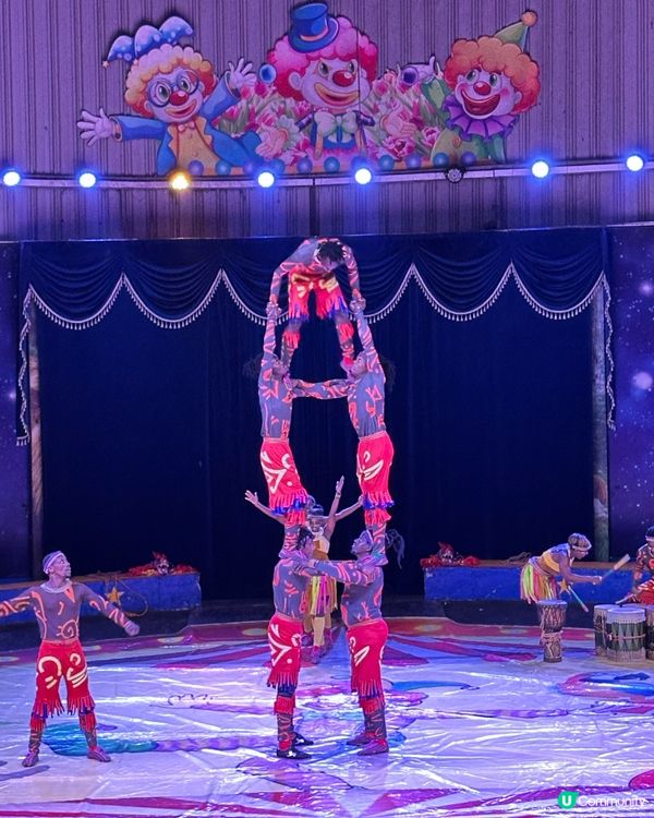 深圳野生動物園🎪 馬戲表演超精彩！🤩