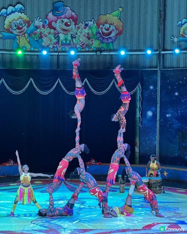 深圳野生動物園🎪 馬戲表演超精彩！🤩