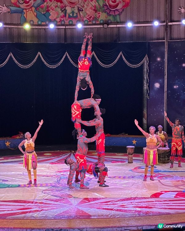深圳野生動物園🎪 馬戲表演超精彩！🤩