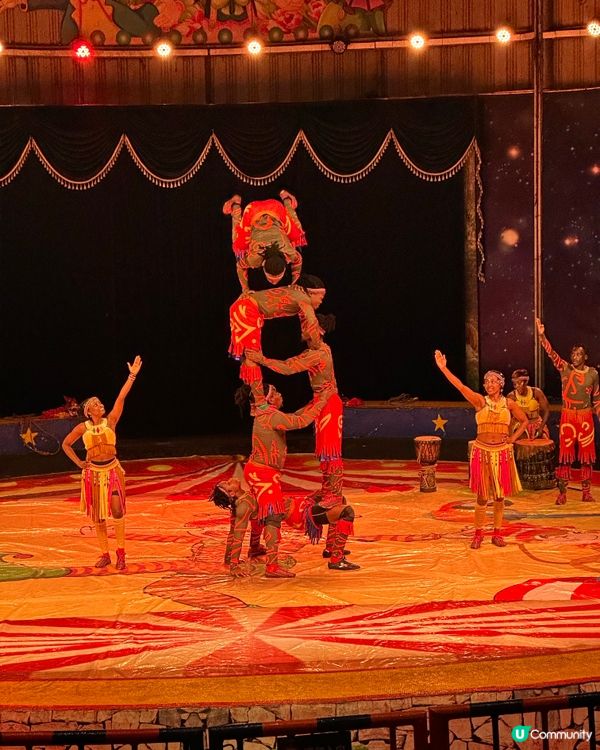 深圳野生動物園🎪 馬戲表演超精彩！🤩