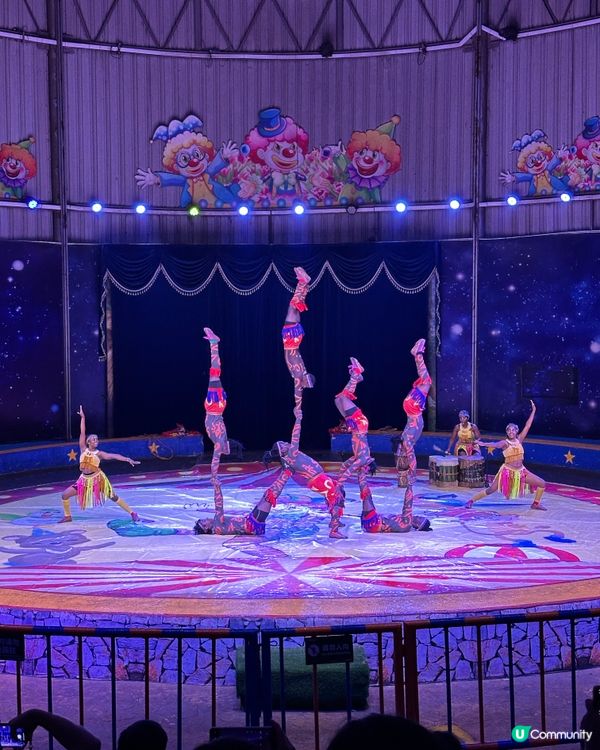 深圳野生動物園🎪 馬戲表演超精彩！🤩