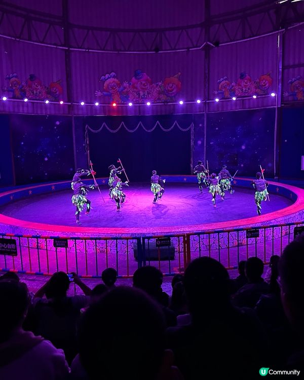 深圳野生動物園🎪 馬戲表演超精彩！🤩