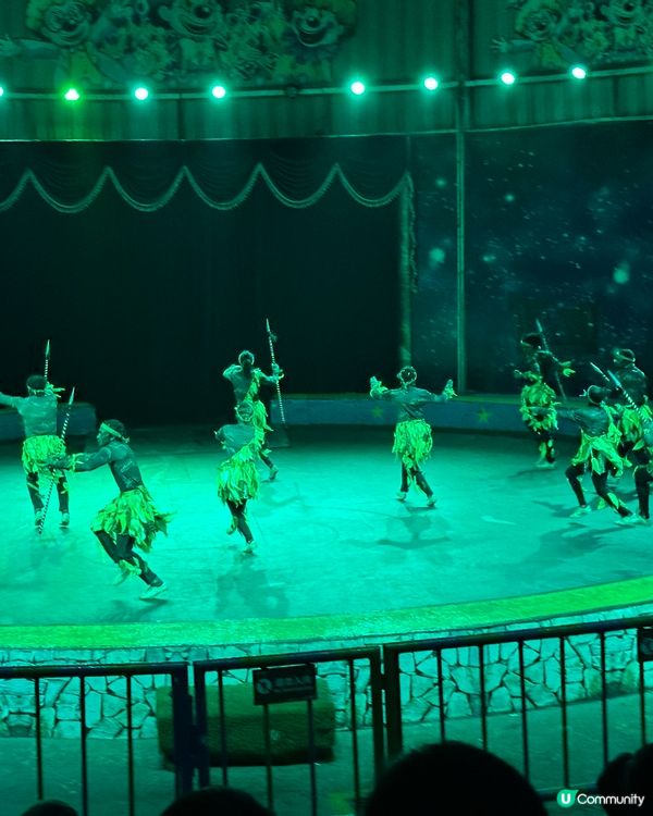 深圳野生動物園🎪 馬戲表演超精彩！🤩