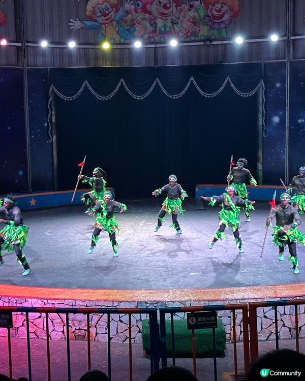 深圳野生動物園🎪 馬戲表演超精彩！🤩