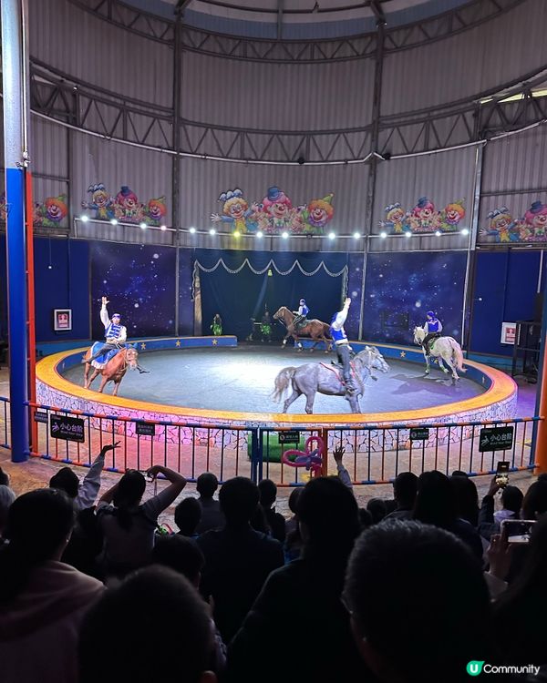 深圳野生動物園🎪 馬戲表演超精彩！🤩