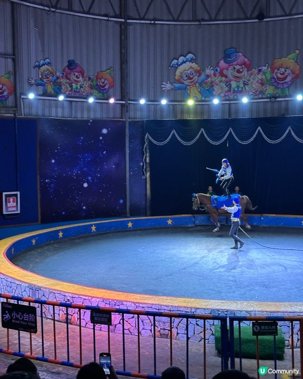 深圳野生動物園🎪 馬戲表演超精彩！🤩