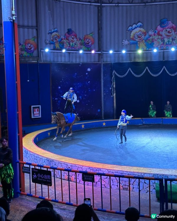 深圳野生動物園🎪 馬戲表演超精彩！🤩