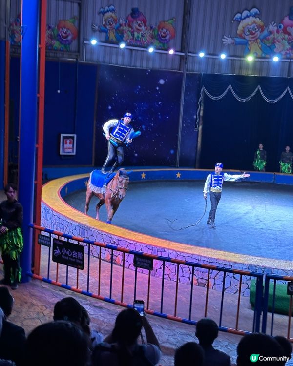 深圳野生動物園🎪 馬戲表演超精彩！🤩