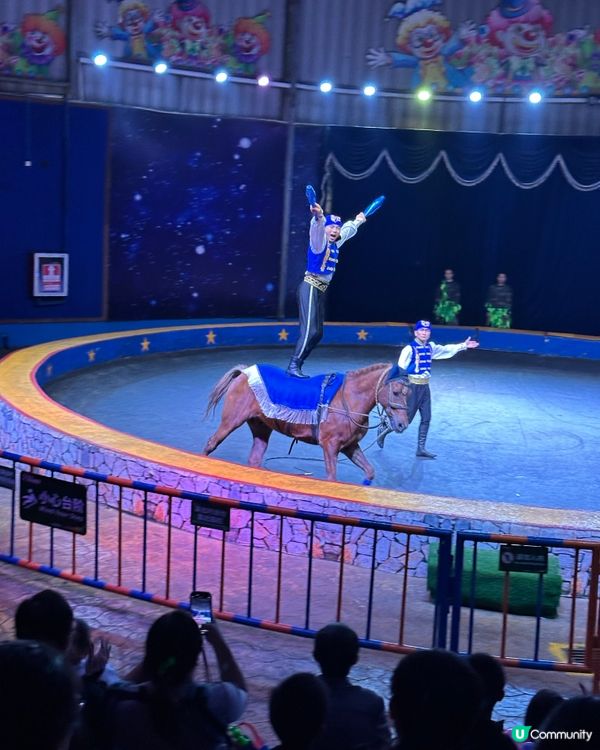 深圳野生動物園🎪 馬戲表演超精彩！🤩