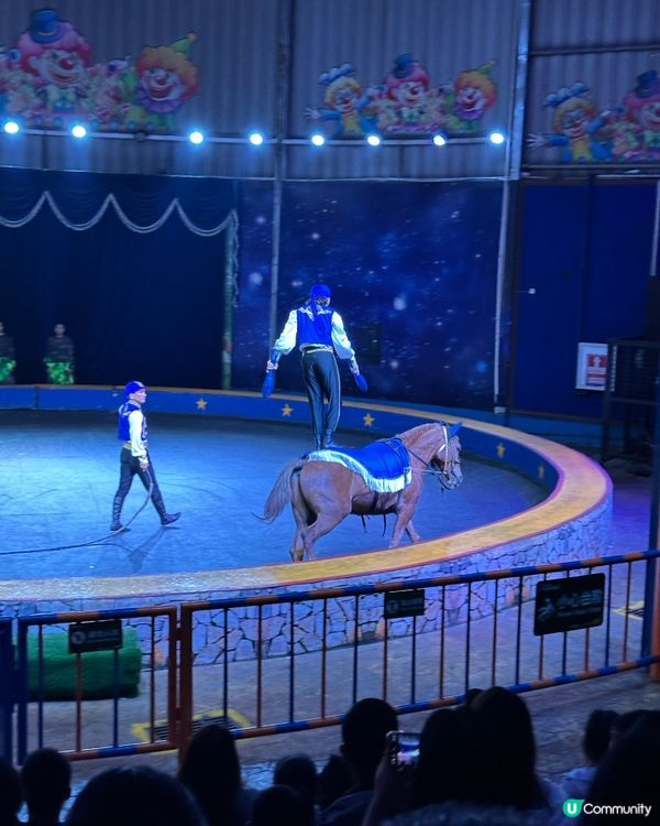 深圳野生動物園🎪 馬戲表演超精彩！🤩