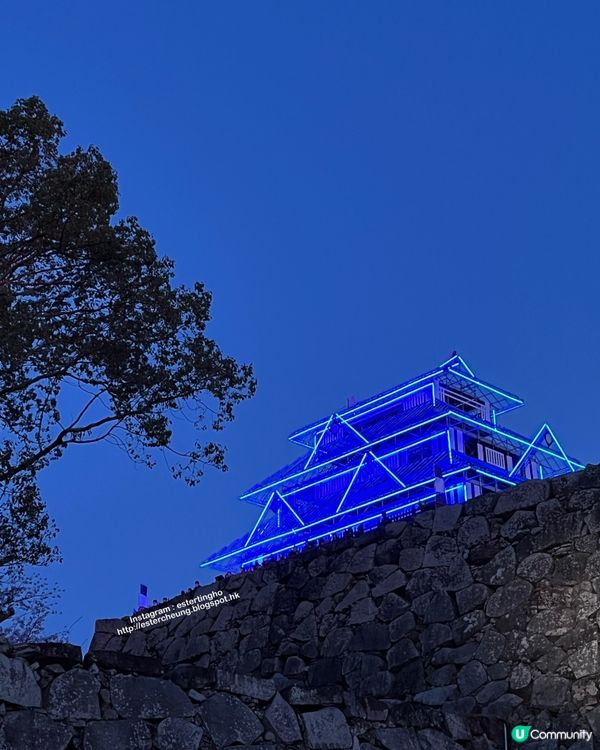 舞鶴公園 💕 福岡城櫻花祭典 🌸 觀賞櫻花的日與夜