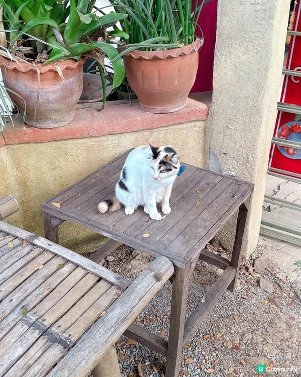 文化氣質的文青藝術村