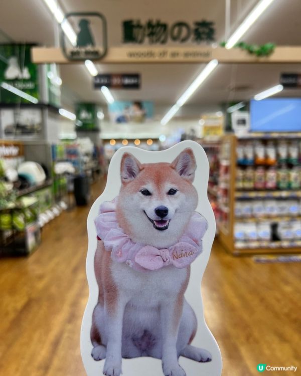 大阪寵物店の分享🛒