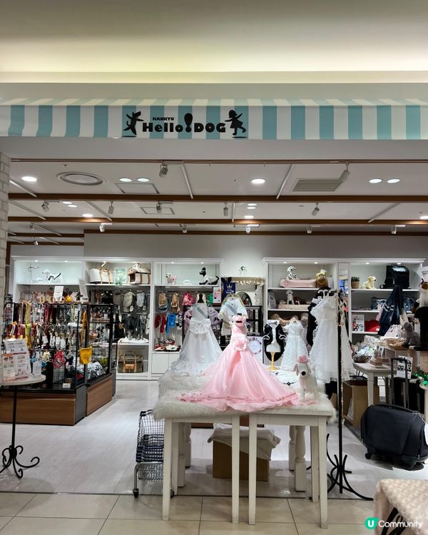 大阪寵物店の分享🛒