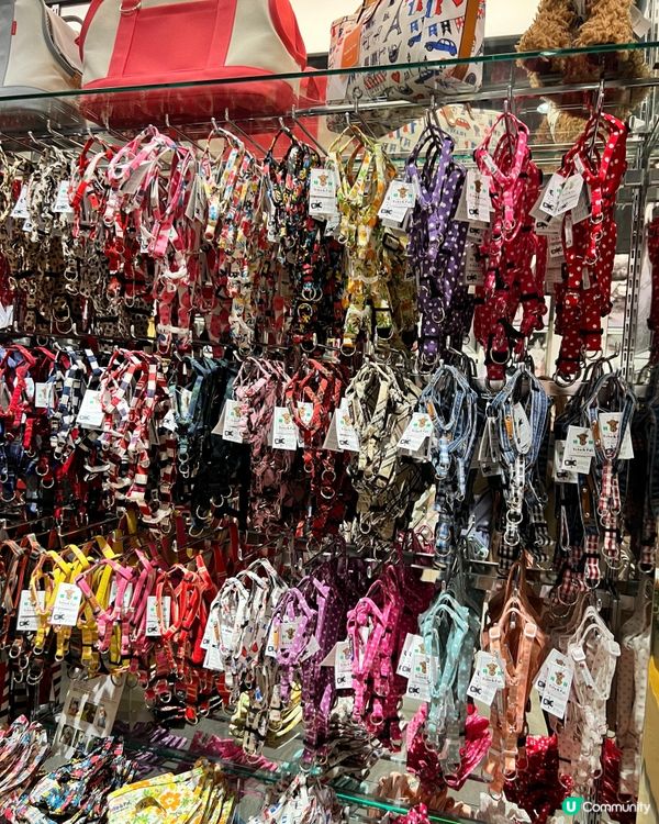 大阪寵物店の分享🛒