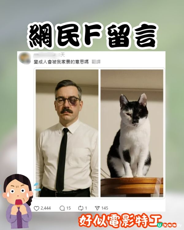 ChatGPT寵物擬人新熱潮🔥可愛貓貓竟變「呢個樣」嚇親主人😱附指令分享