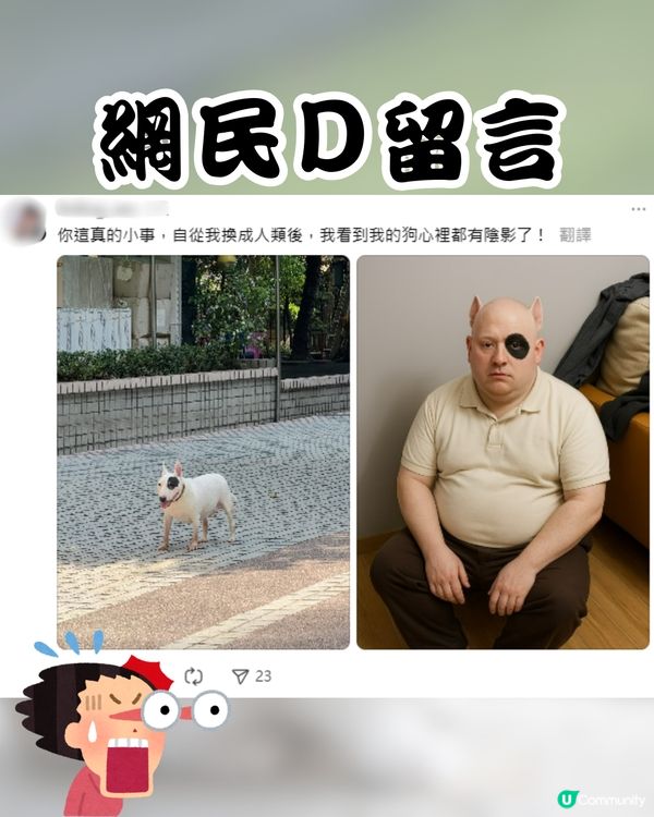 ChatGPT寵物擬人新熱潮🔥可愛貓貓竟變「呢個樣」嚇親主人😱附指令分享