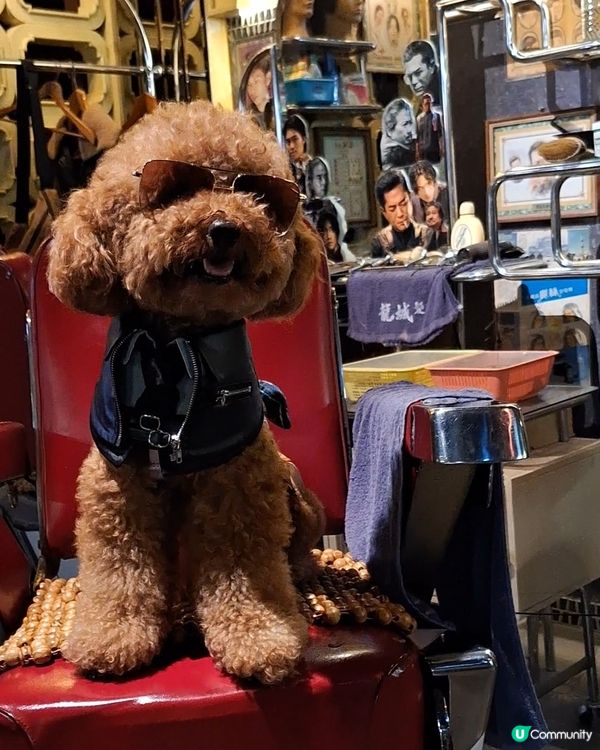 城寨告別，電影上映！🎬