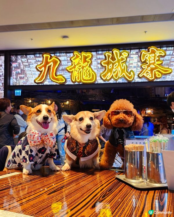 城寨告別，電影上映！🎬