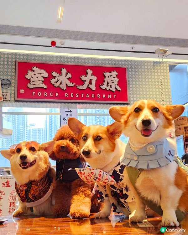 城寨告別，電影上映！🎬