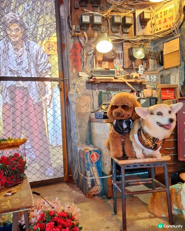 城寨告別，電影上映！🎬