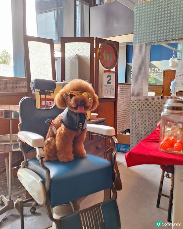 城寨告別，電影上映！🎬