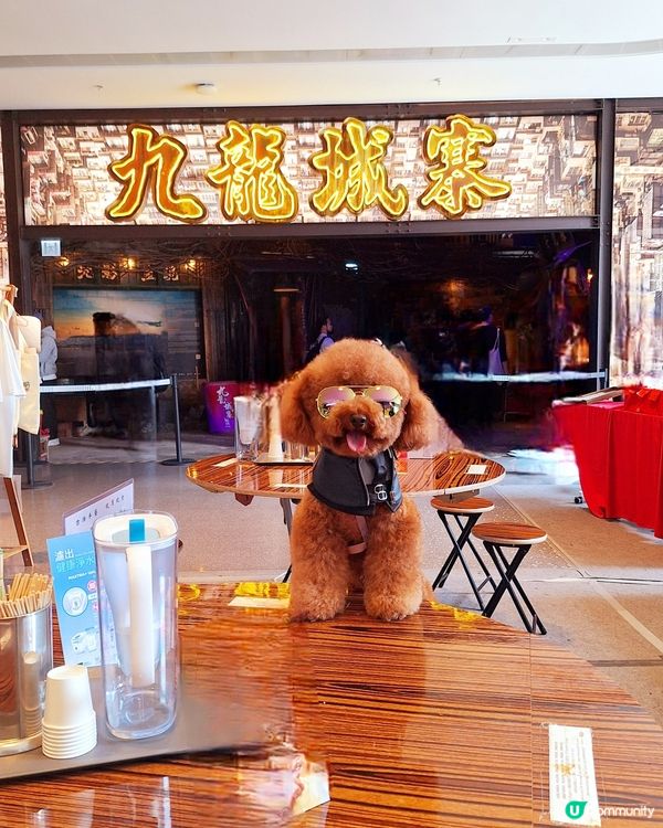 城寨告別，電影上映！🎬