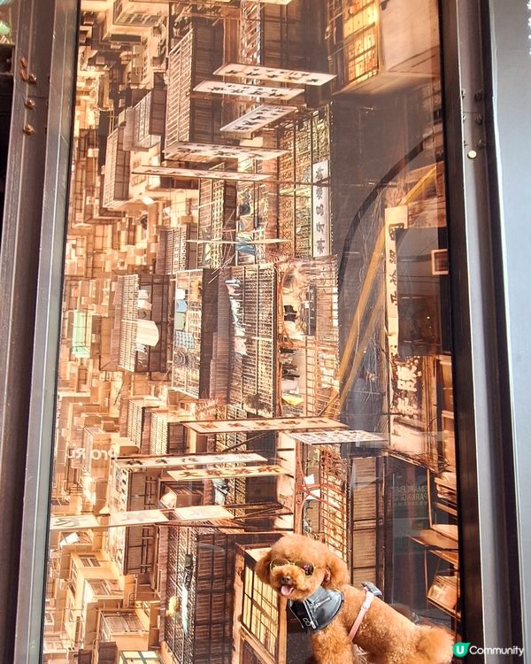 城寨告別，電影上映！🎬