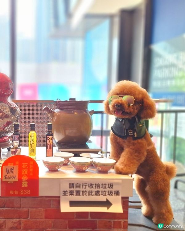 城寨告別，電影上映！🎬