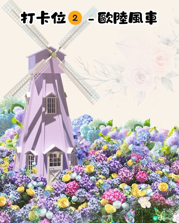 珠海城市客廳賞花秘點😍有5大打卡位‼️歐陸風車／繡球花花海／與梅花鹿互動打卡🦌附交通教學