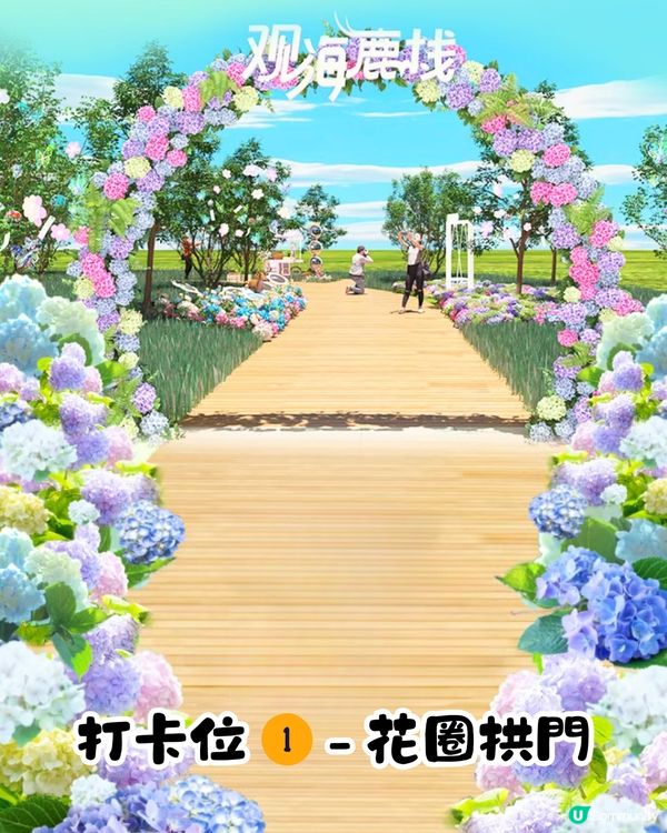 珠海城市客廳賞花秘點😍有5大打卡位‼️歐陸風車／繡球花花海／與梅花鹿互動打卡🦌附交通教學