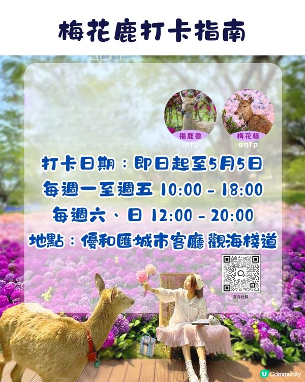 珠海城市客廳賞花秘點😍有5大打卡位‼️歐陸風車／繡球花花海／與梅花鹿互動打卡🦌附交通教學